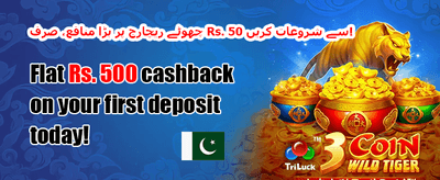 100% ویلکم بونس آفر promotion